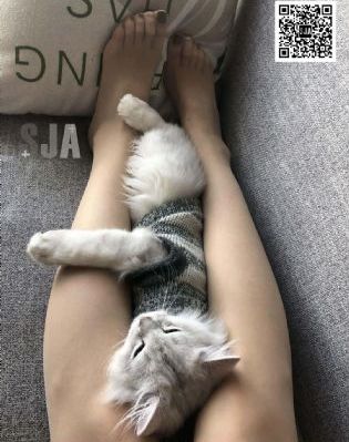 奥迪a7l国产了没有_电影网在线观看